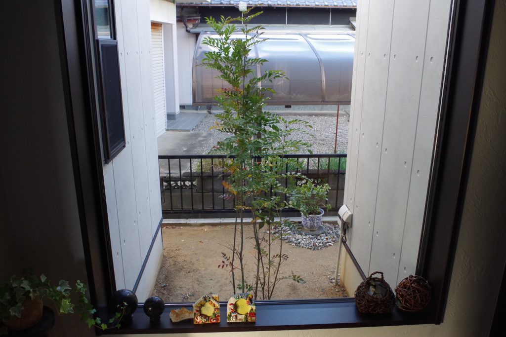 ドッグランのある、勾配天井でゆったりくつろげる細長い平屋のお家