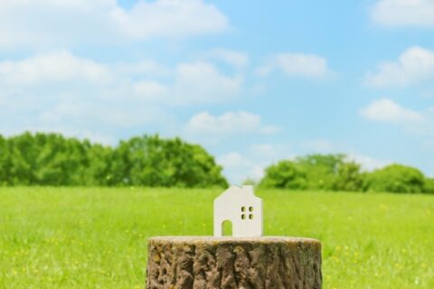 「住まいの断熱対策 猛暑に向けて」