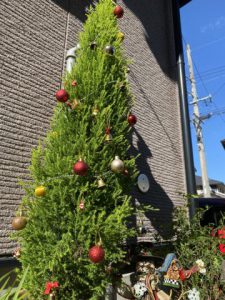 もうすぐクリスマス🎄
