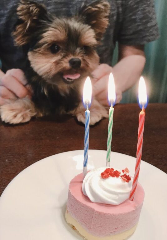 一大イベント🍰