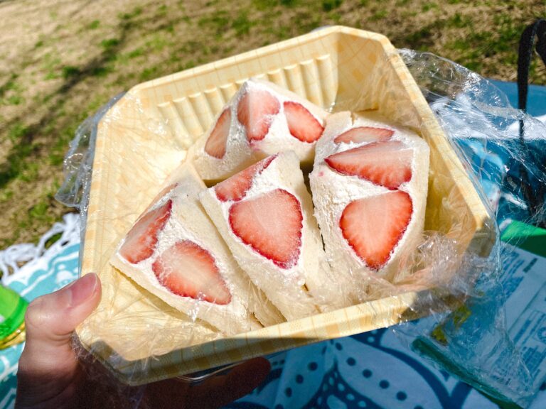 ピクニック