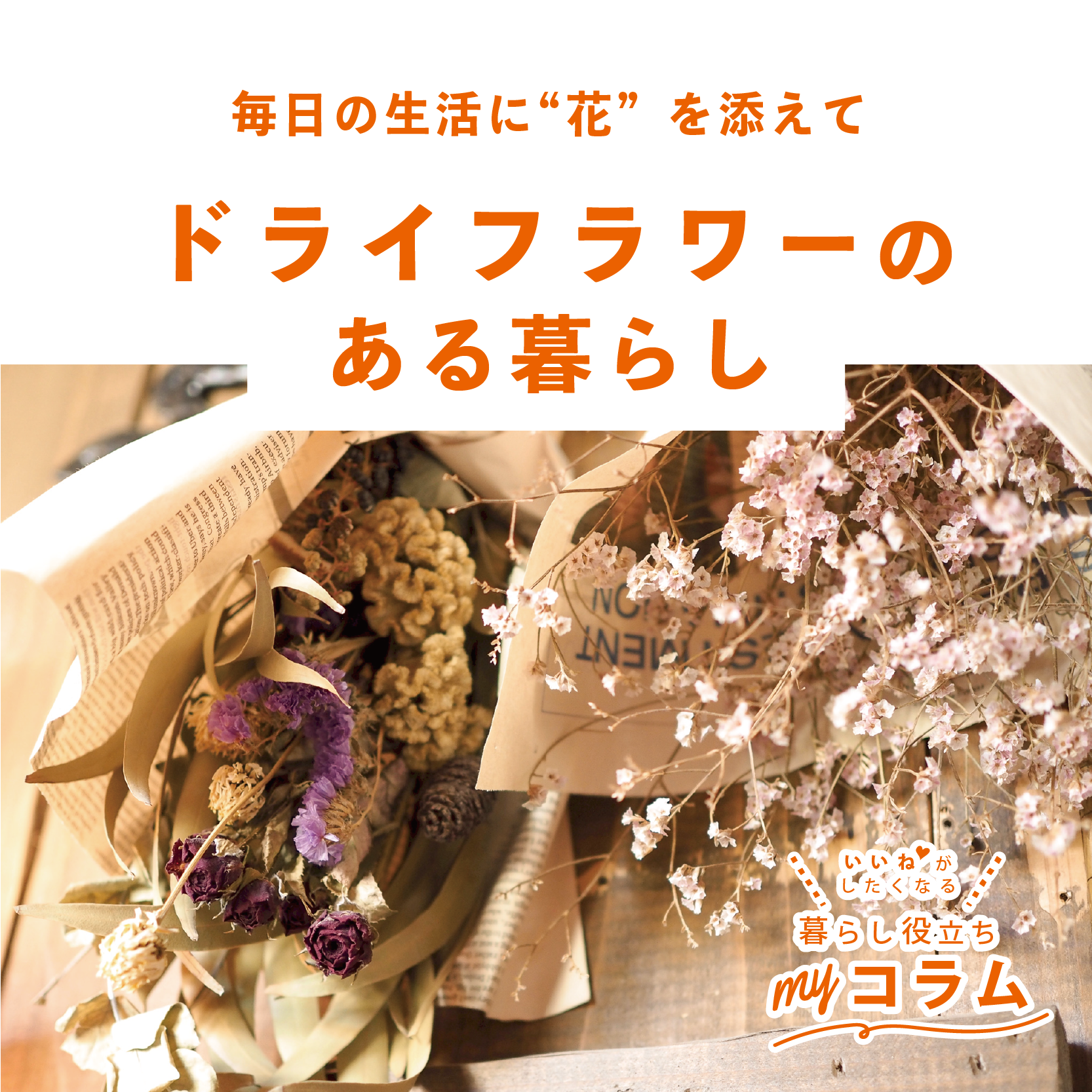 毎日の生活に“花”を添えて ドライフラワーのある暮らし