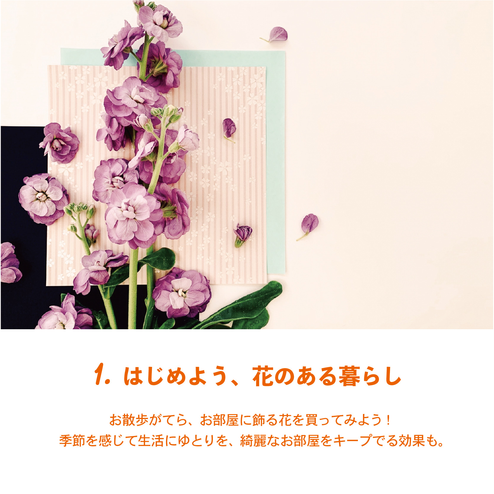 休日の午後をもっと充実！﻿ 今こそ “ 丁寧な暮らし ”
