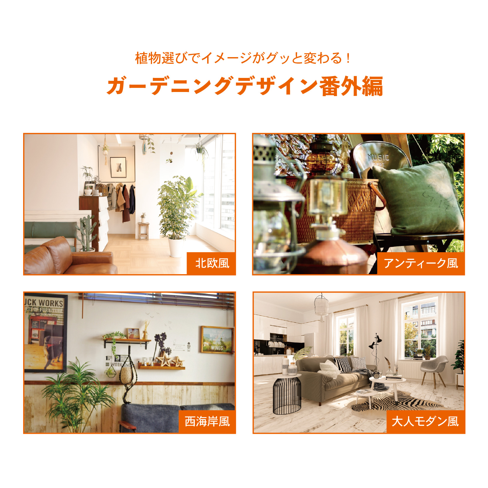初心者でも大丈夫！﻿お庭を楽しむガーデニング