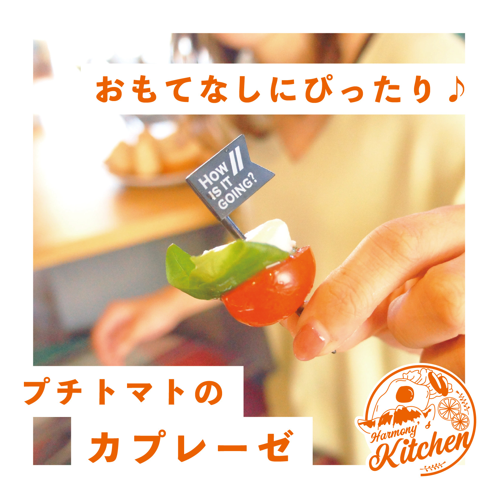 おもてなしにぴったり♪ プチトマトのカプレーゼ