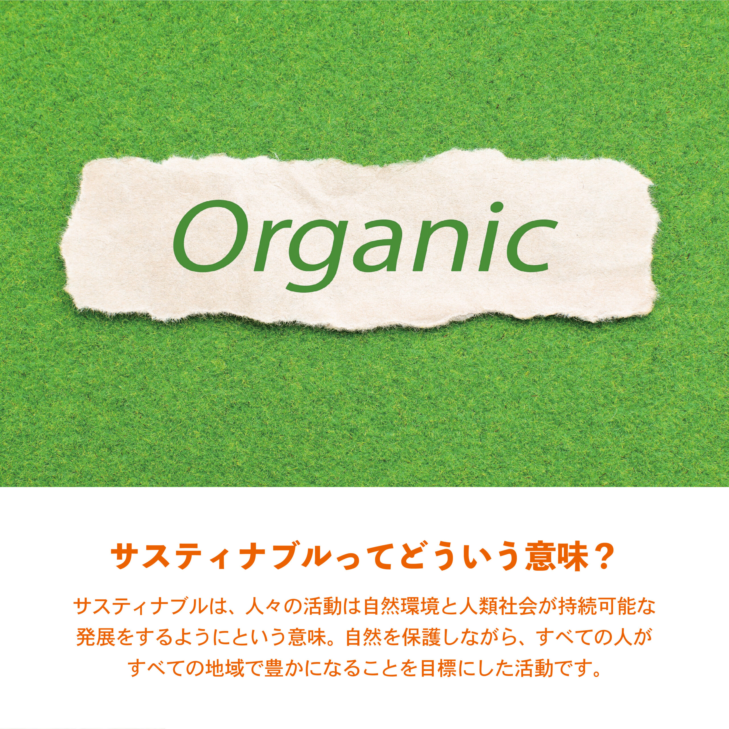 最近よく聞く”サスティナブル”って？  楽しみながらアクション！