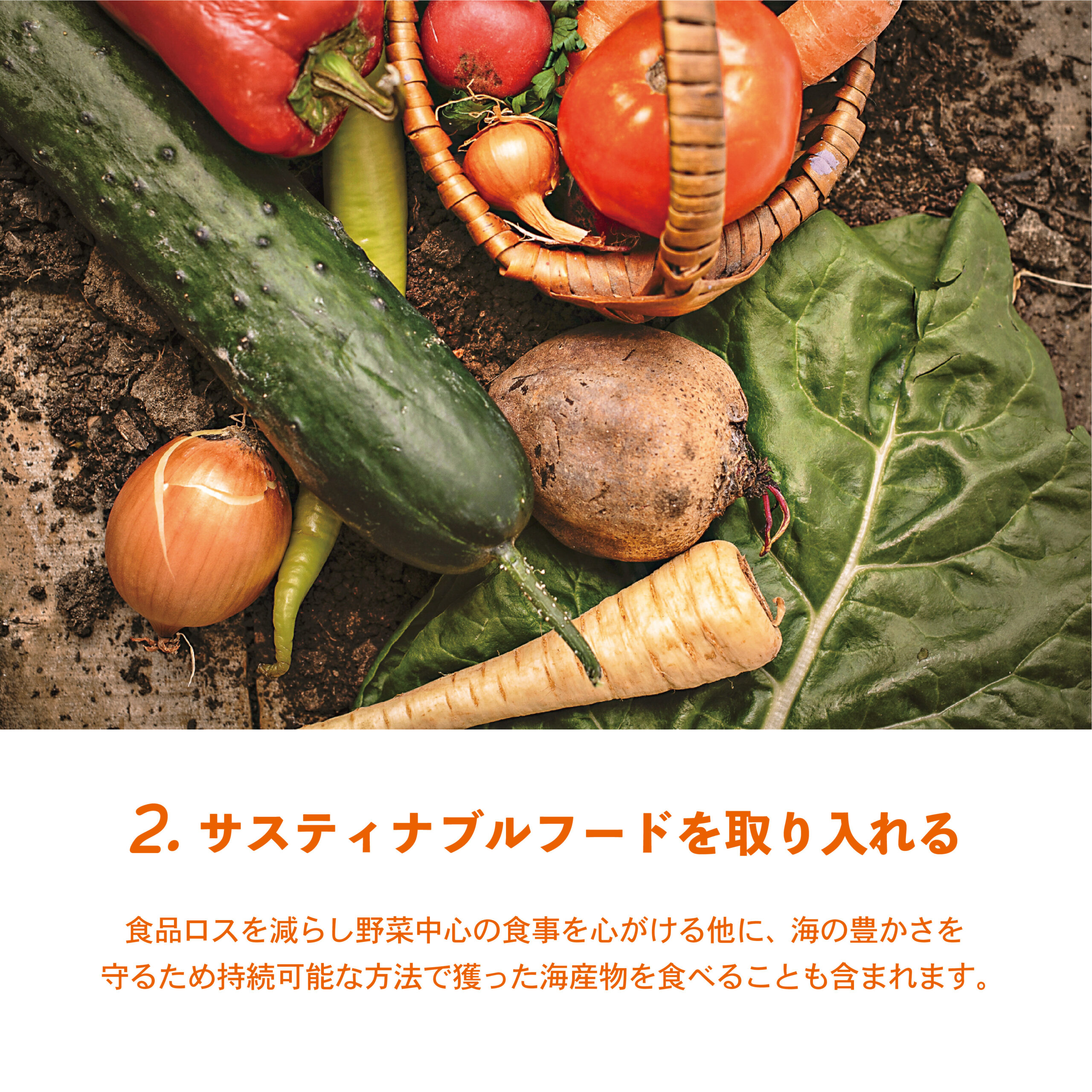 最近よく聞く”サスティナブル”って？  楽しみながらアクション！