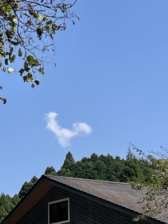 過去PIC！