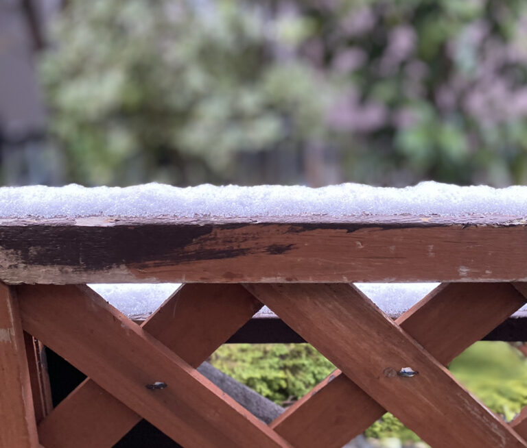 初雪❆