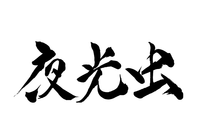 地元の海はたまに光る