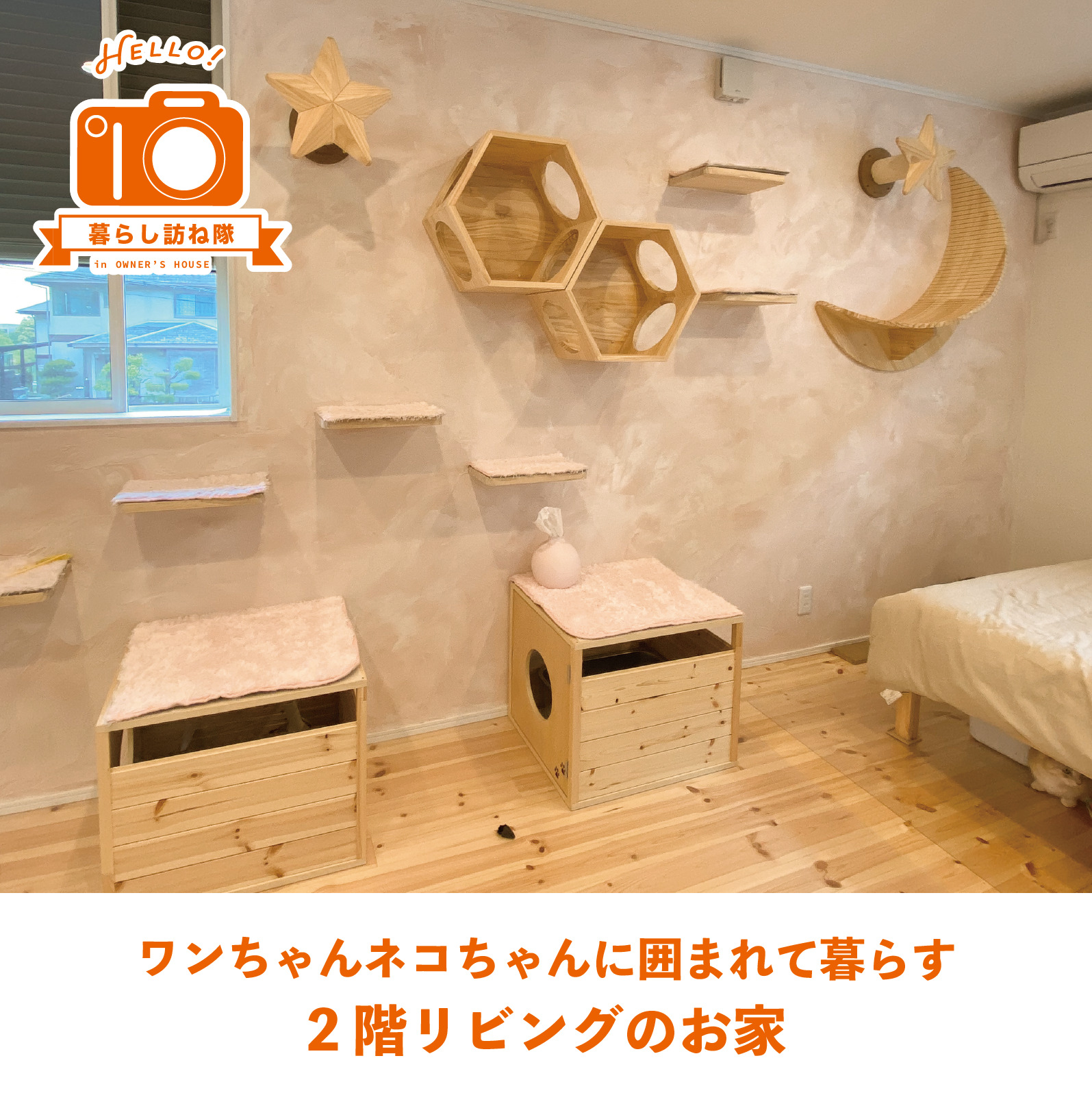 ワンちゃんネコちゃんに囲まれて暮らす 2階リビングのお家