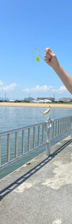 魚🐟その1
