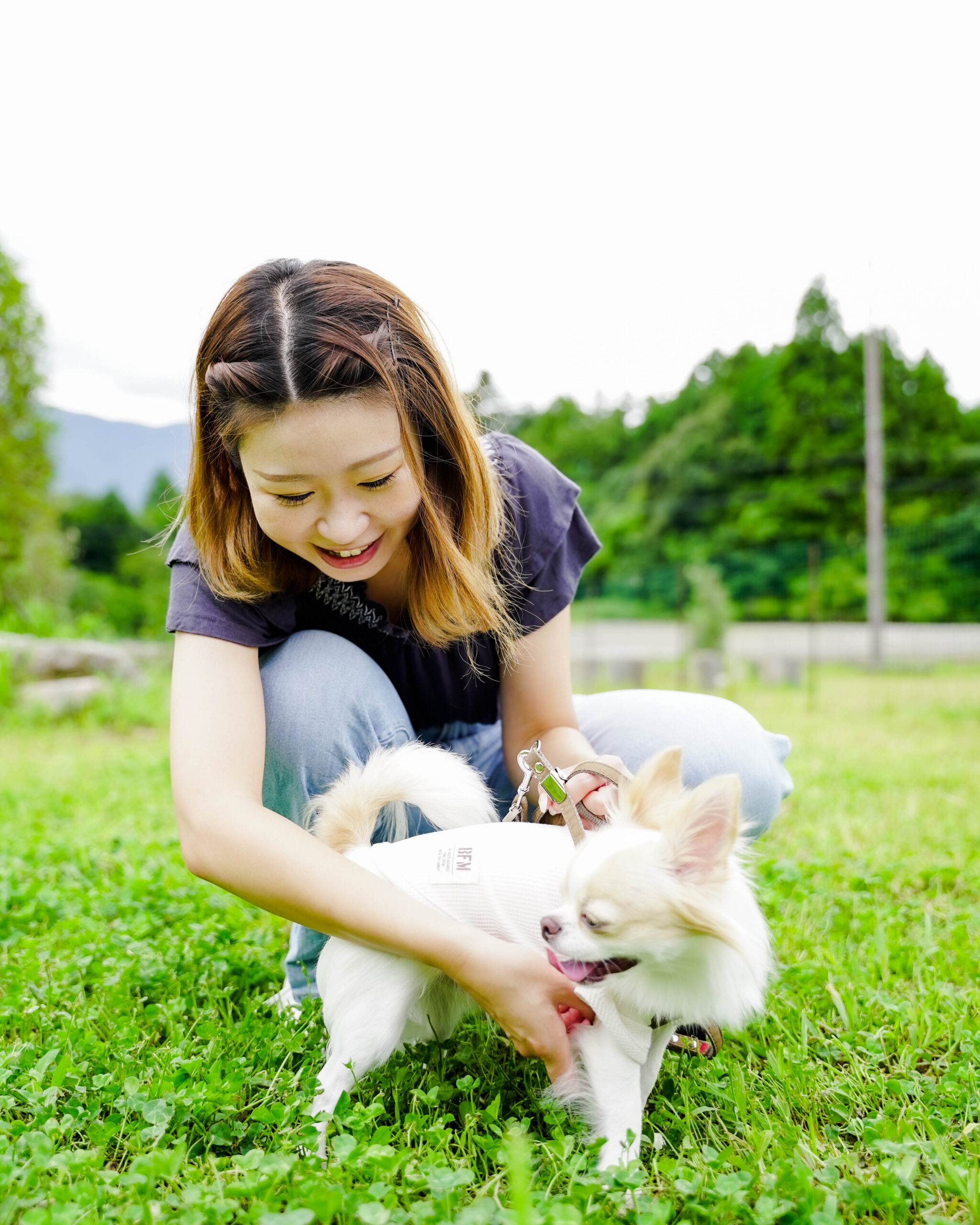 ドッグオーナー必見！ 犬と泊まれるキャンプ場　やまてらす
