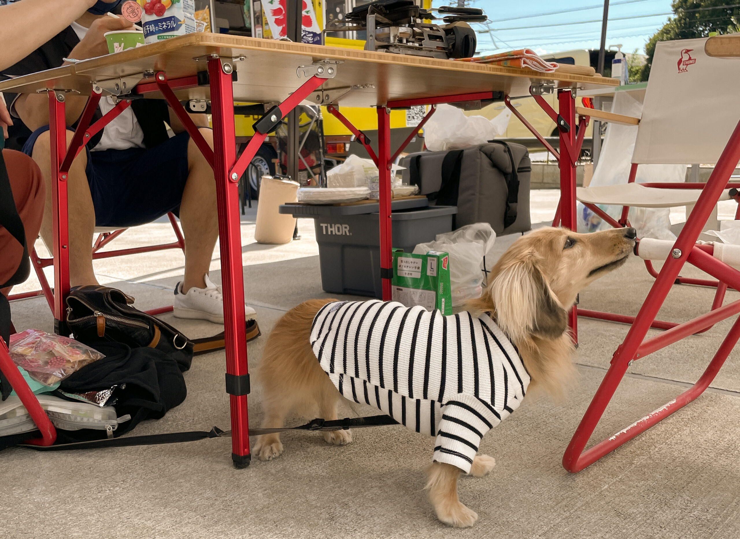 ＼土地探しもお家づくりも、この秋がチャンス！／ハーモニー アウトドアフェスタ