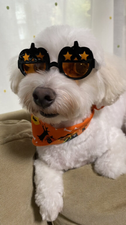 ハロウィン🎃