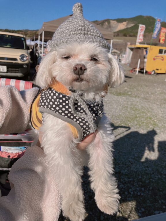 わんわんマルシェ🐶🐶