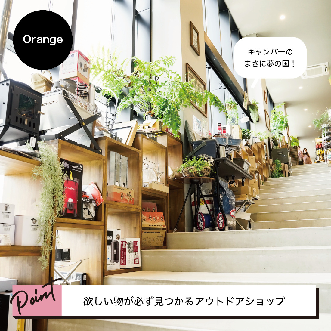 visonをもっと楽しむ １日満喫プラン
