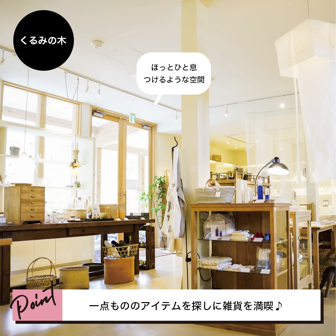 visonをもっと楽しむ １日満喫プラン
