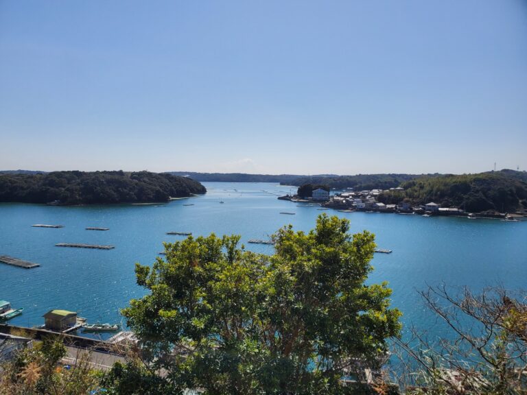 的矢湾