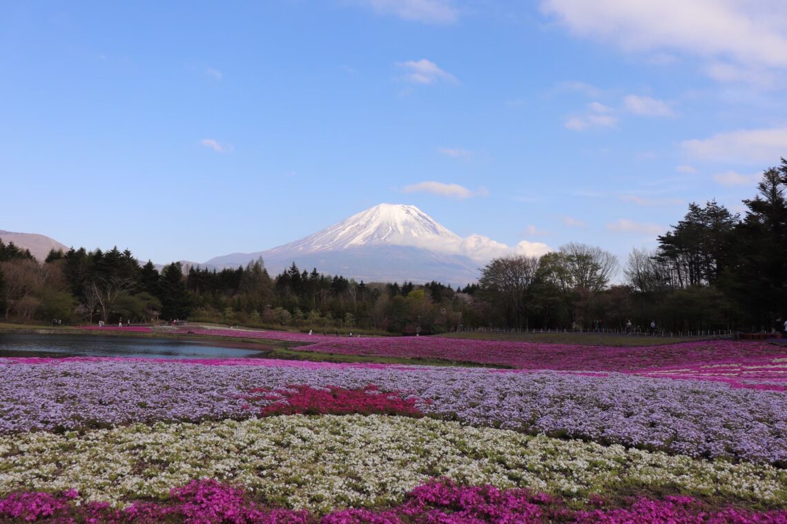 旅行の思い出を少しでも残せるようにカメラを始めました。最近では、桜や紅葉など日本特有の情景を求めて色々な場所に足を運んでいます。