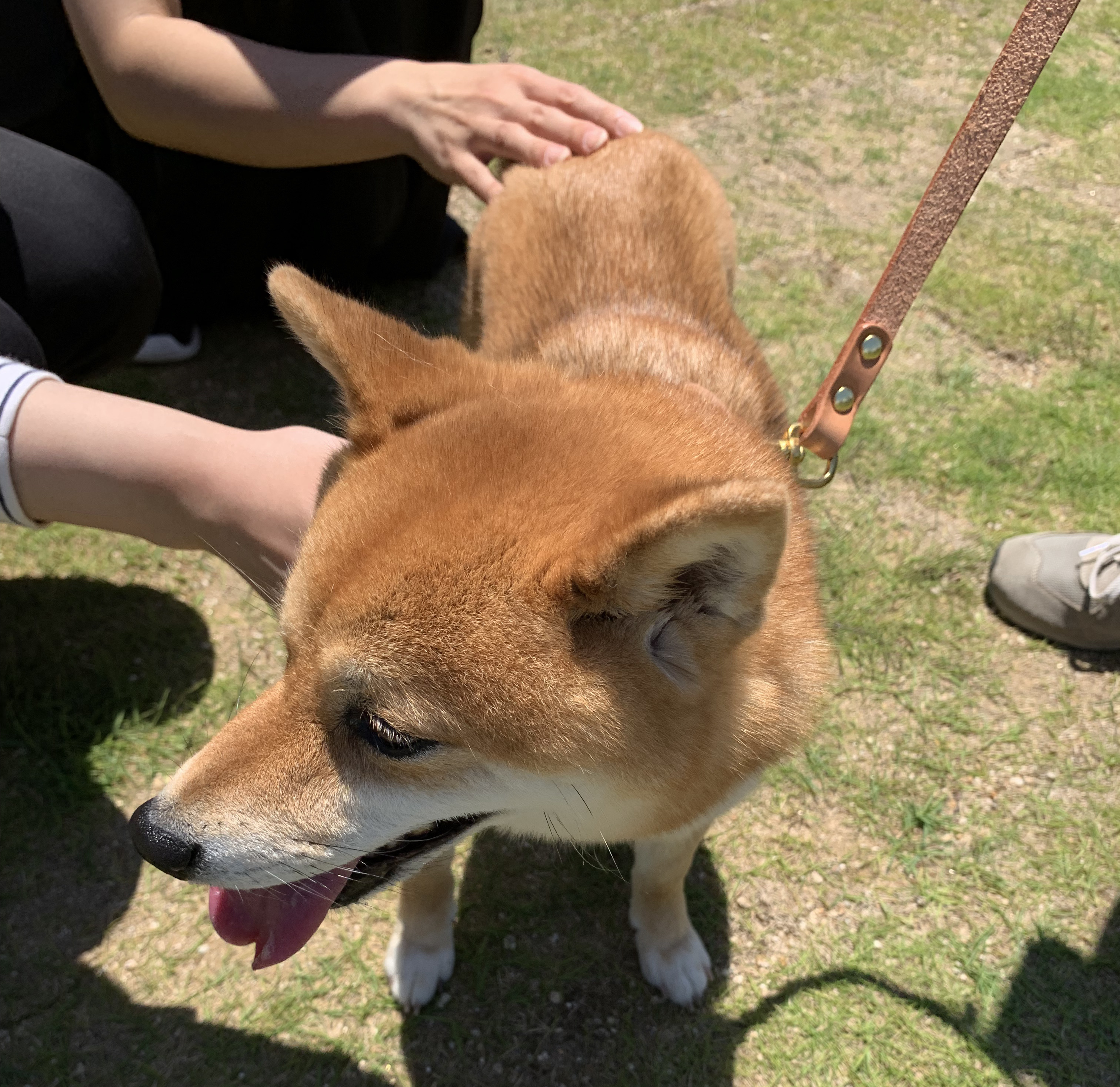 -ご来場ありがとうございました-暮らしを彩るハーモニーマルシェ