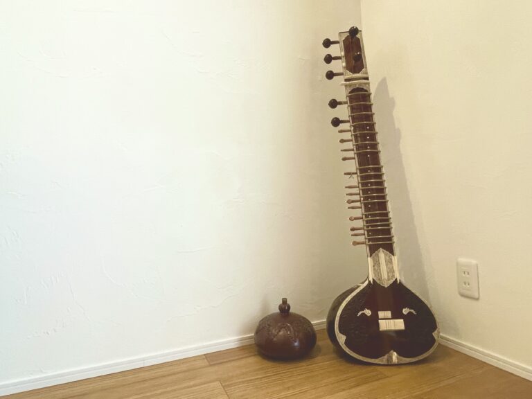 プライベートとパブリックを分けたスタイリッシュな平屋