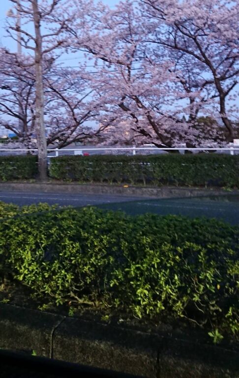 春