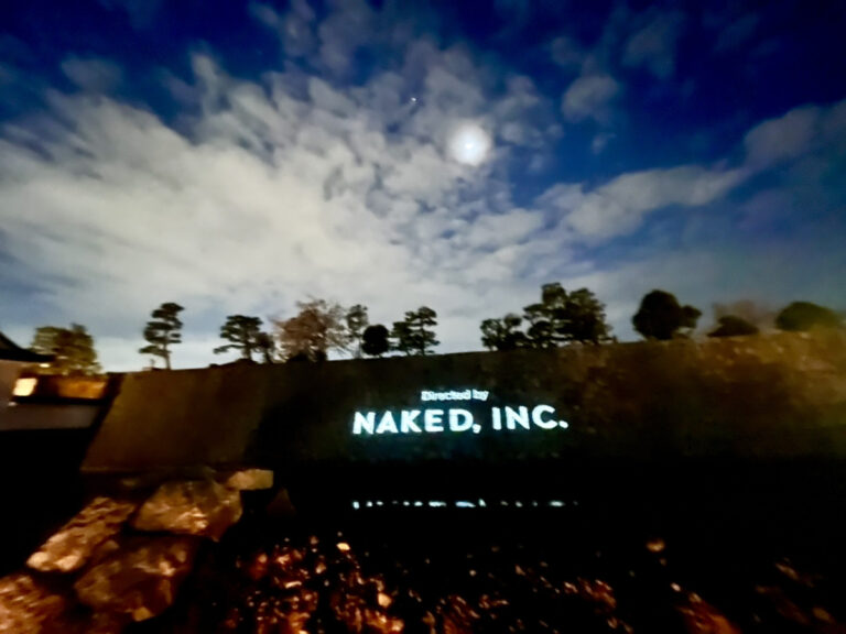「NAKED meets 二条城 2025 桜」